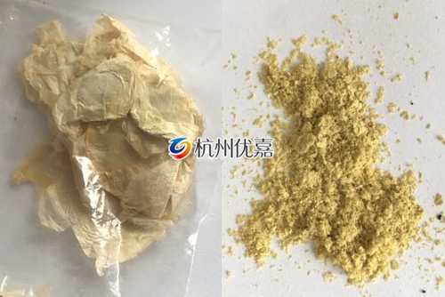 如何利用宋慈高通量多樣品組織研磨儀研磨植物組織？