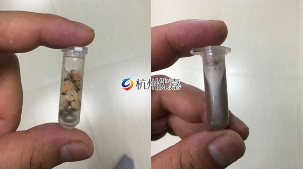 宋慈高通量多樣品組織研磨儀研磨植物過程詳解